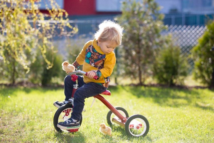 un garcon blond faisant du tricycle dans son jardin