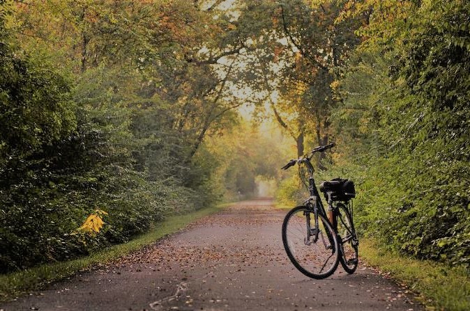 un velo pose sur sa bequille sur une piste cycable qui passe dans la foret