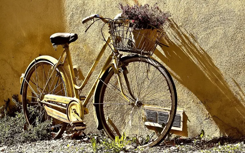 Guide pratique pour dater un vélo Peugeot