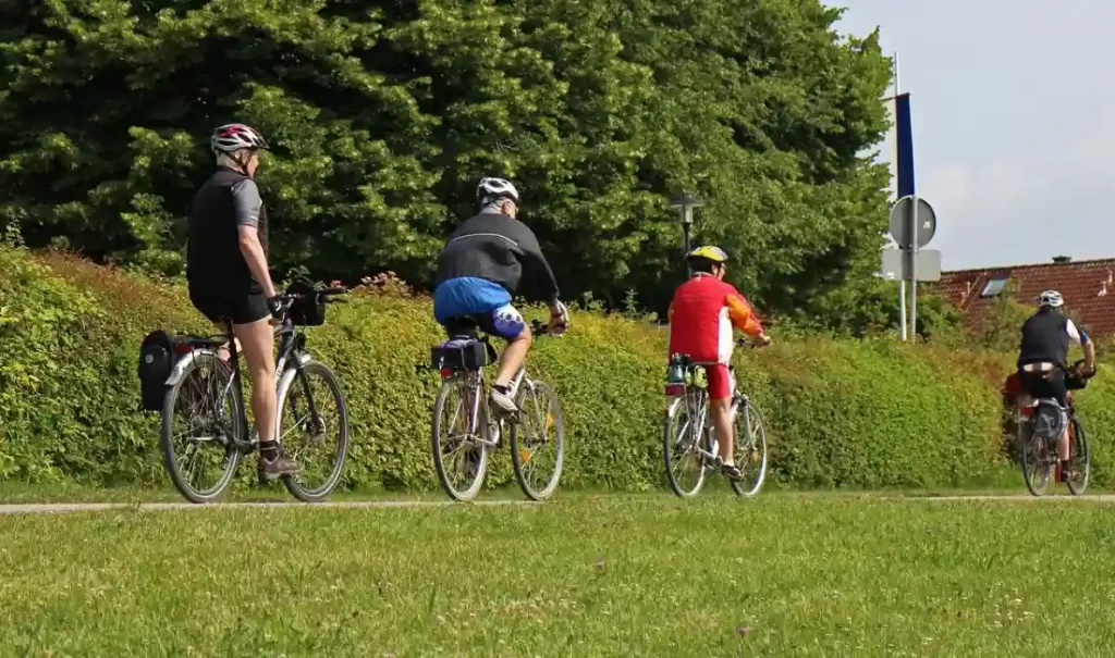 des vélos tout chemin